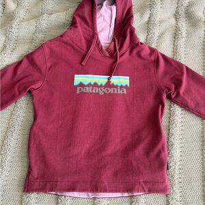 Patagonia womens Hoodie with Logo